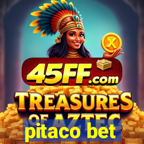 pitaco bet